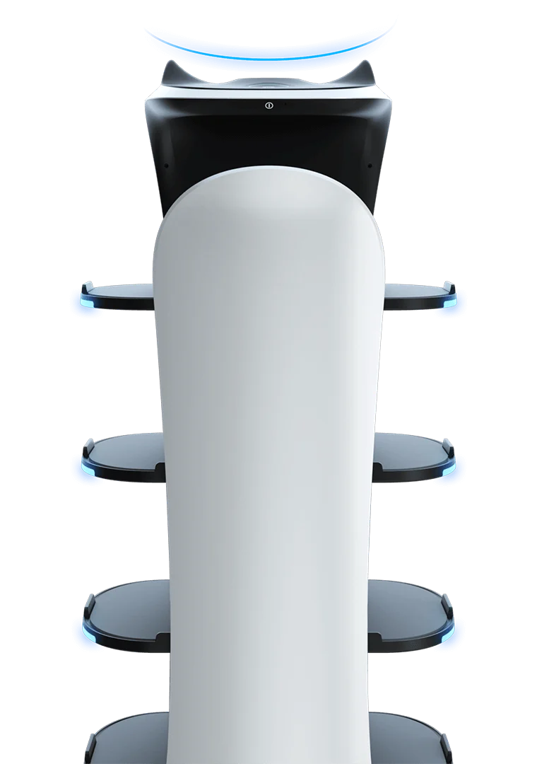 BellaBot Aesthetic Design