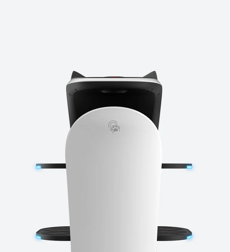Back-Touch Interaction