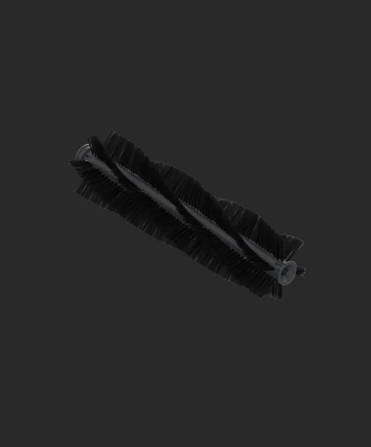 Sweeping Roller Brush